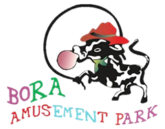 bora -logo