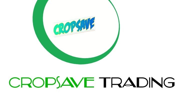 Ethio Impact Consulting Plc.