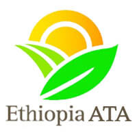 Ethio Impact Consulting Plc.