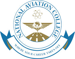 Ethio Impact Consulting Plc.